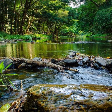 Cairns Homestead Redlynch Pet And Family Friendly Zewnętrze zdjęcie